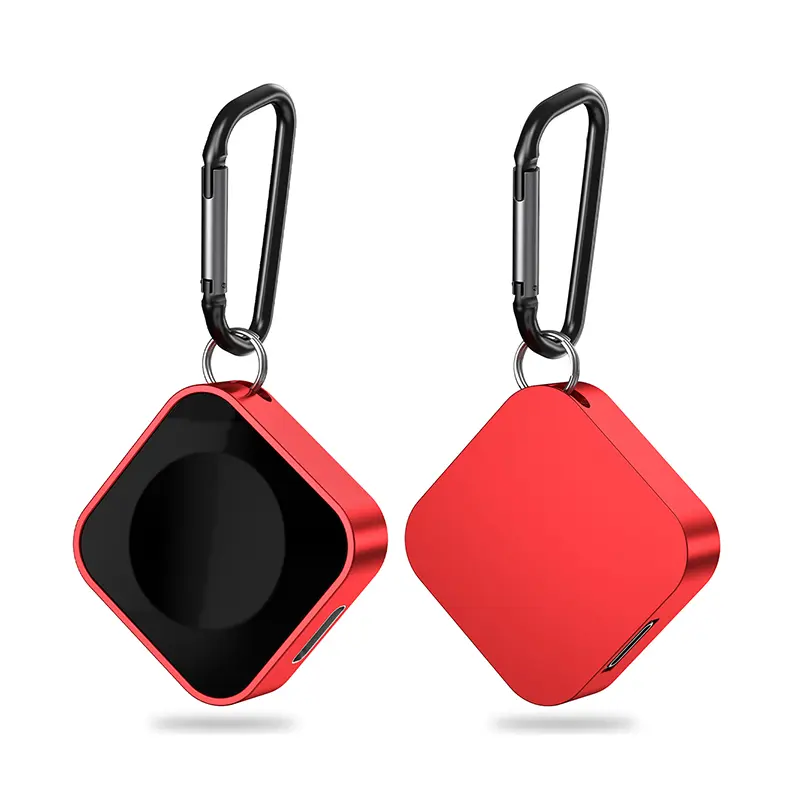 Portable Magnetic Watch Cha...